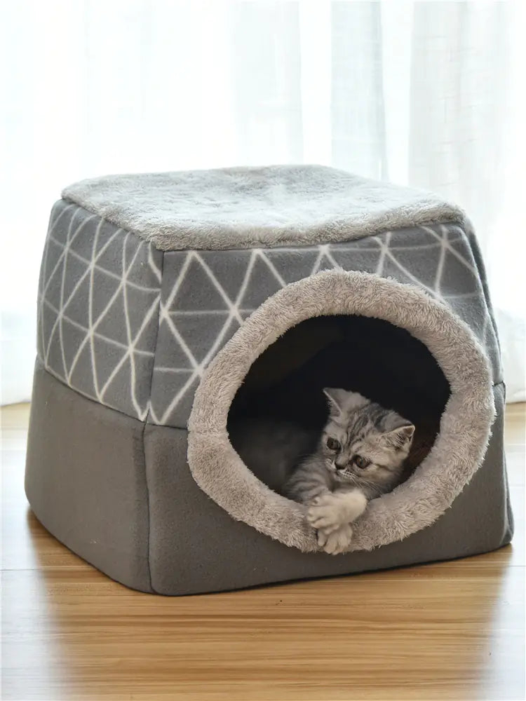 Villa Espacial 2 en 1 para Perros y Gatos🐾🏡