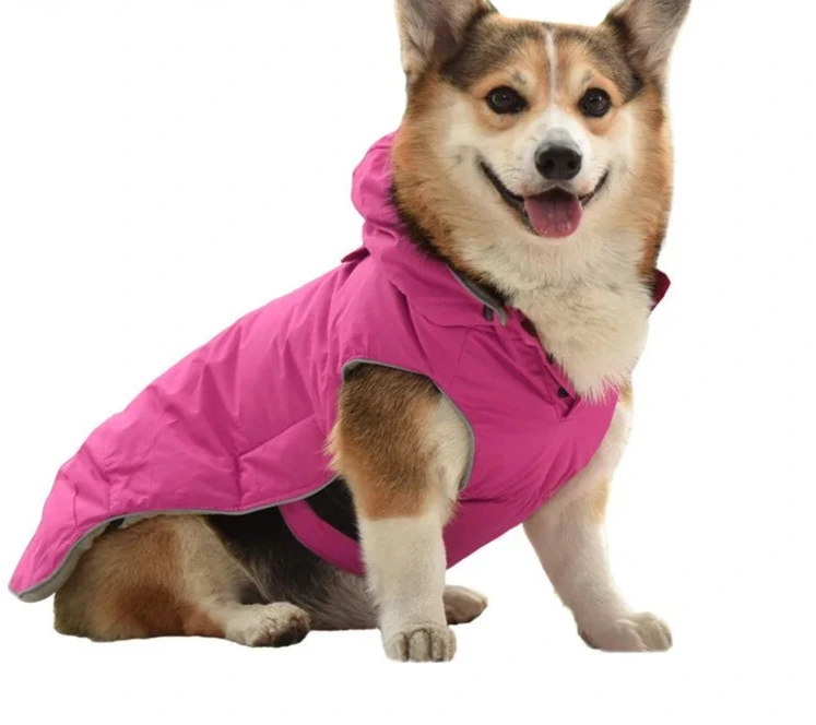 Arnés Acogedor de Invierno para Mascotas: ¡Calidez y Seguridad en Cada Paseo! 🧣🐾