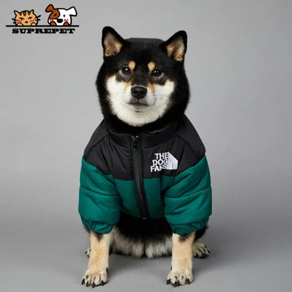 Chaqueta de Invierno para Perros: Estilo y Calidez Premium 🐾❄️