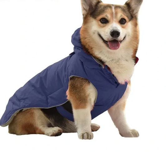 Arnés Acogedor de Invierno para Mascotas: ¡Calidez y Seguridad en Cada Paseo! 🧣🐾