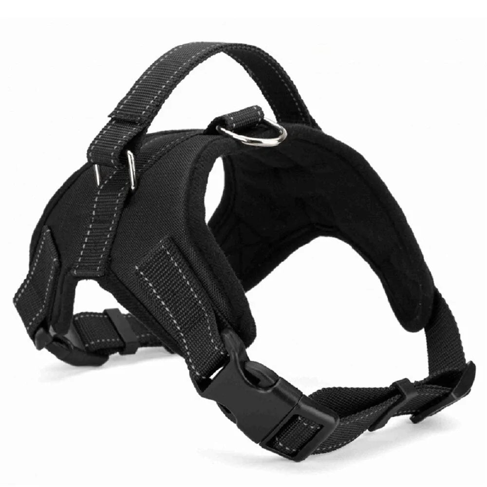 Collar Arnés Ajustable para Perro: ¡Seguridad y Comodidad en Cada Aventura! 🐕🌟🚶‍♂️