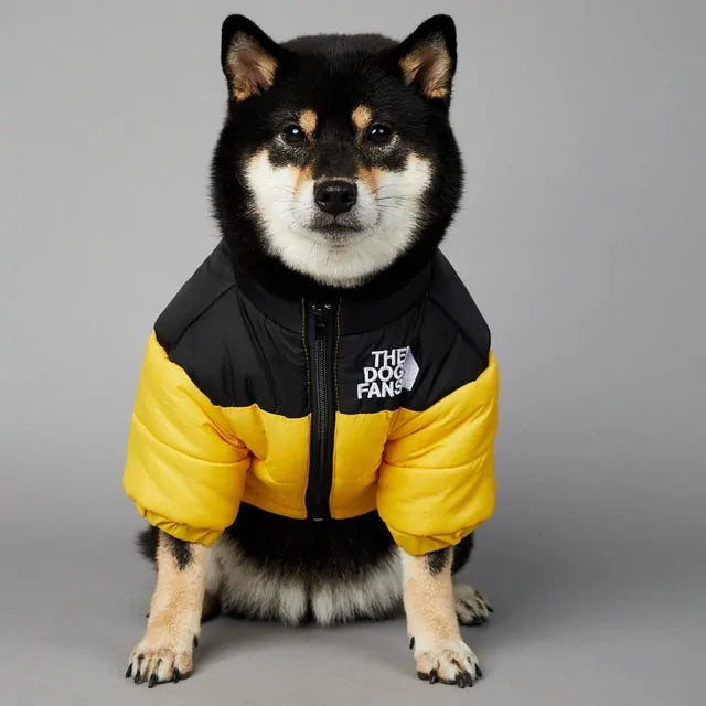 Chaqueta de Invierno para Perros: Estilo y Calidez Premium 🐾❄️