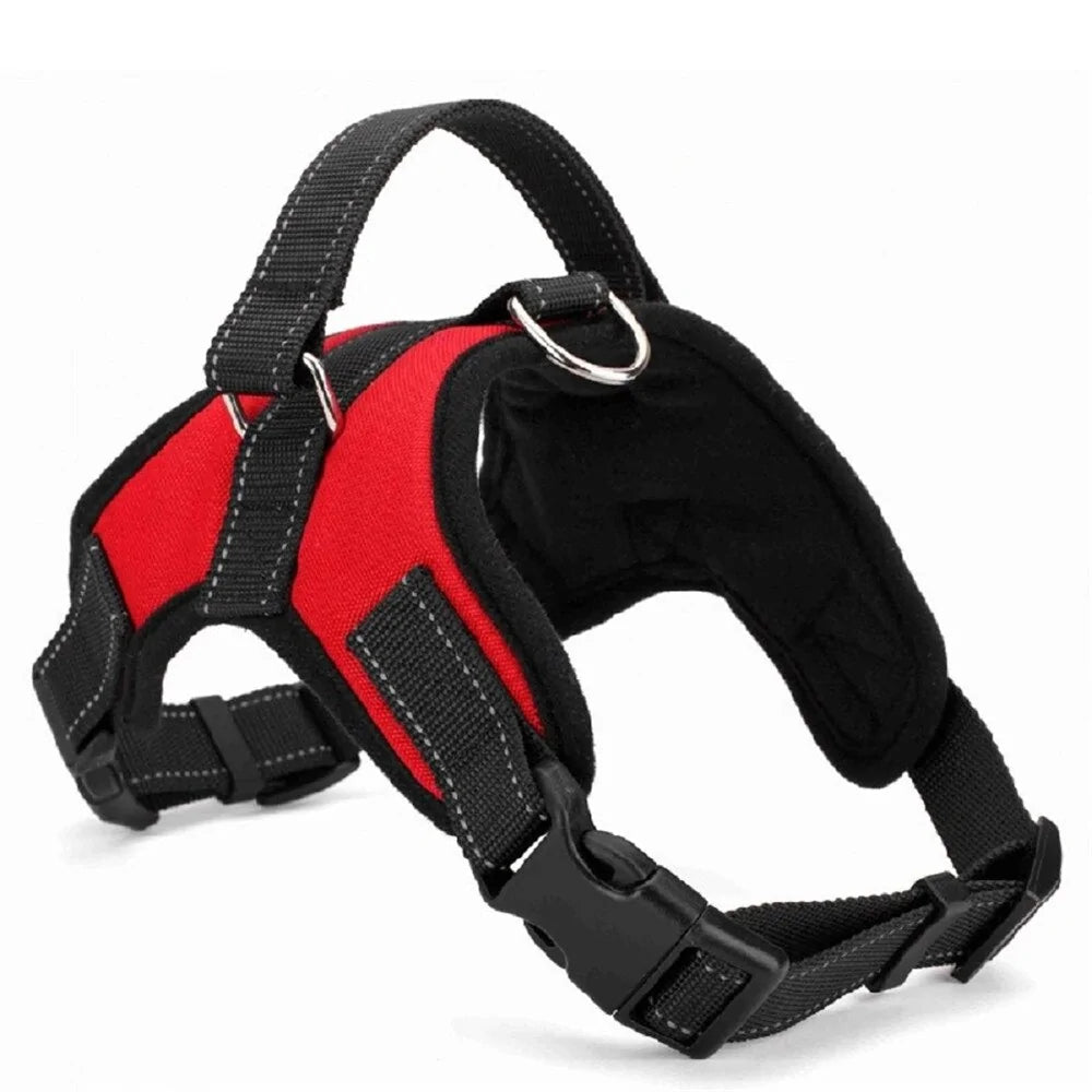 Collar Arnés Ajustable para Perro: ¡Seguridad y Comodidad en Cada Aventura! 🐕🌟🚶‍♂️