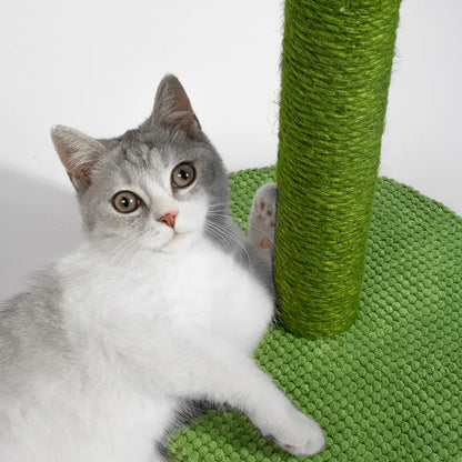 Poste Rascador Premium para Gatos: ¡Protege tus Muebles con Estilo y Diversión! 🐱🎉
