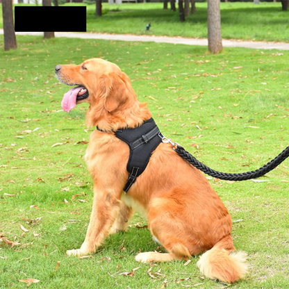 Arnés Ajustable para Paseo Seguro y Cómodo de Mascotas 🐾