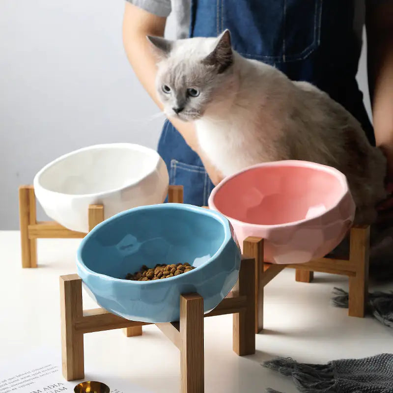 Cuenco Elevado Purr-fect para Gatos con Base de Bambú: ¡Comodidad y Estilo en Cada Comida! 🐱🍽️🌿