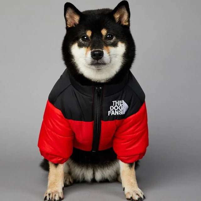 Chaqueta de Invierno para Perros: Estilo y Calidez Premium 🐾❄️