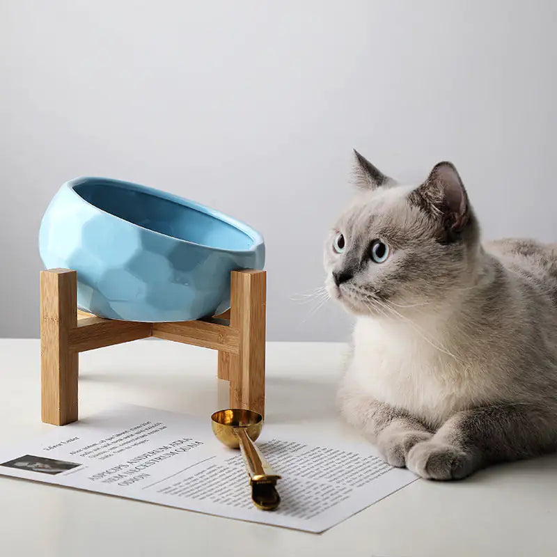 Cuenco Elevado Purr-fect para Gatos con Base de Bambú: ¡Comodidad y Estilo en Cada Comida! 🐱🍽️🌿