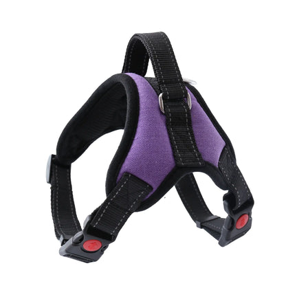 Arnés Ajustable para Paseo Seguro y Cómodo de Mascotas 🐾