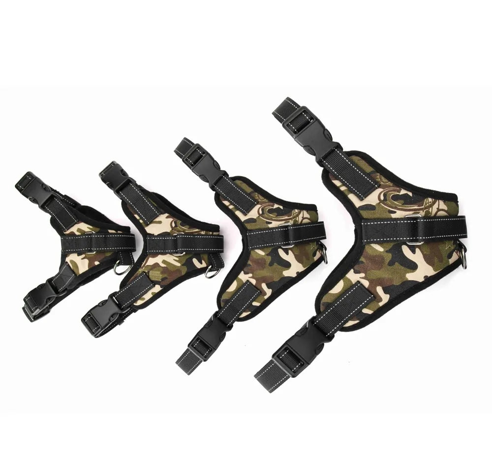 Collar Arnés Ajustable para Perro: ¡Seguridad y Comodidad en Cada Aventura! 🐕🌟🚶‍♂️