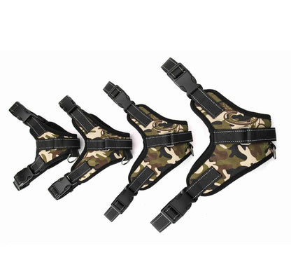 Collar Arnés Ajustable para Perro: ¡Seguridad y Comodidad en Cada Aventura! 🐕🌟🚶‍♂️
