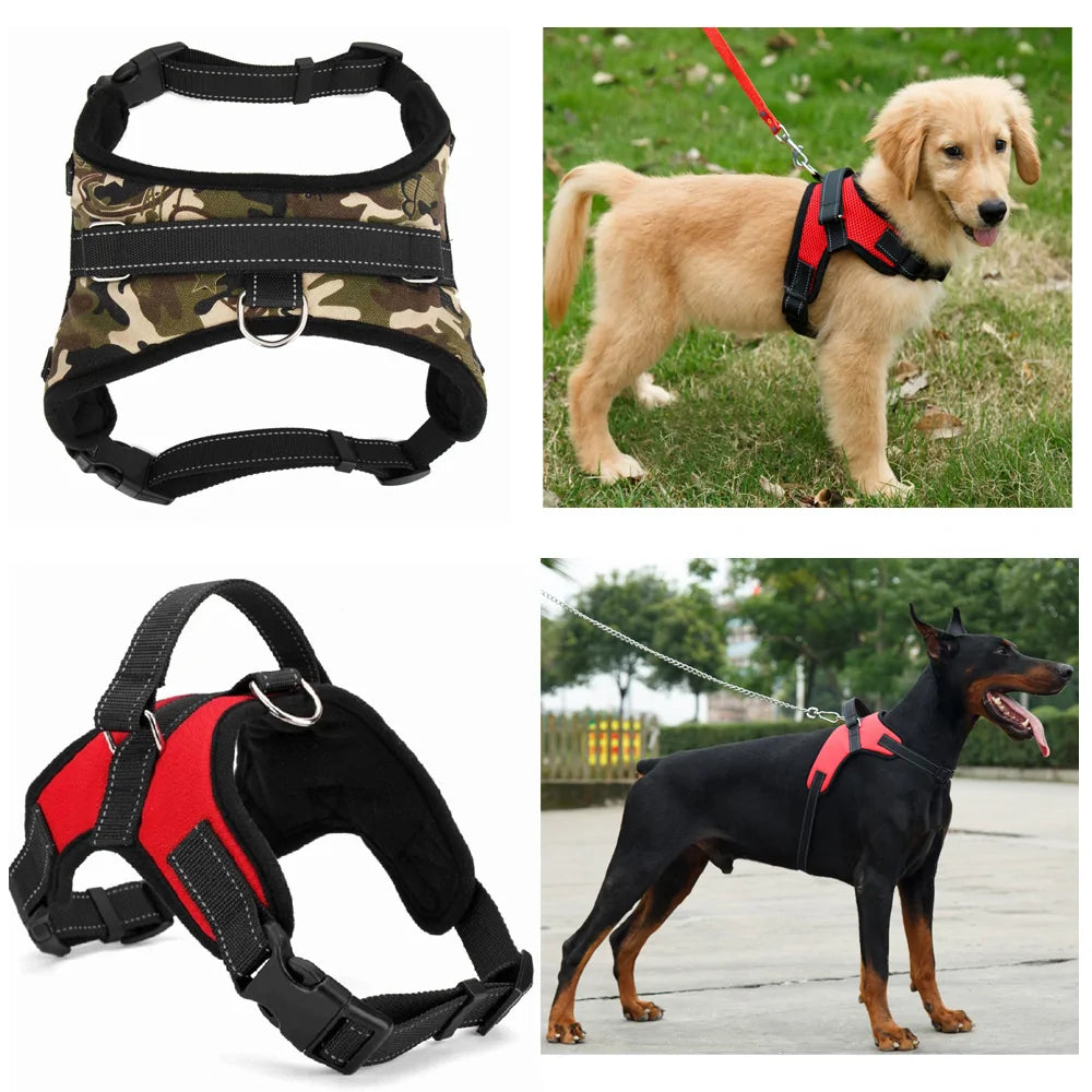 Collar Arnés Ajustable para Perro: ¡Seguridad y Comodidad en Cada Aventura! 🐕🌟🚶‍♂️