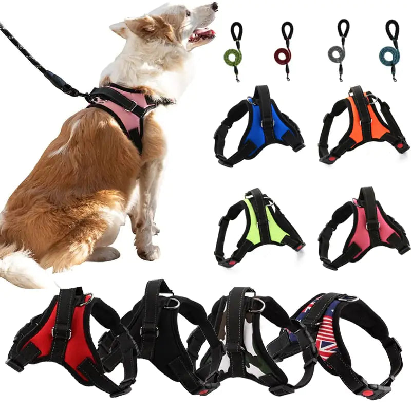 Arnés Ajustable para Paseo Seguro y Cómodo de Mascotas 🐾
