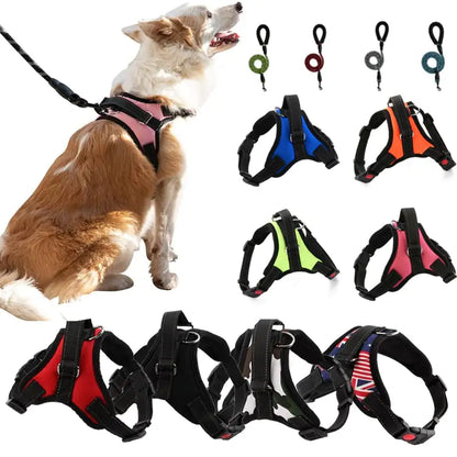 Arnés Ajustable para Paseo Seguro y Cómodo de Mascotas 🐾