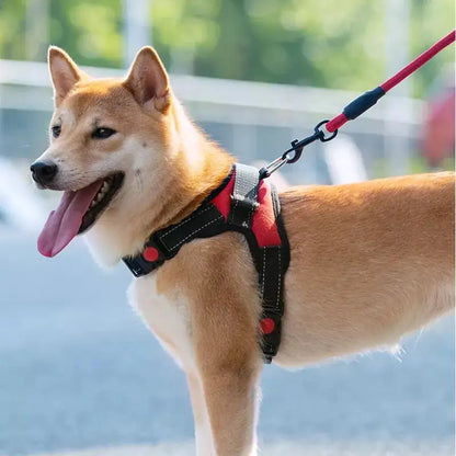 Arnés Ajustable para Paseo Seguro y Cómodo de Mascotas 🐾