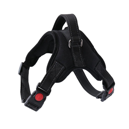 Arnés Ajustable para Paseo Seguro y Cómodo de Mascotas 🐾