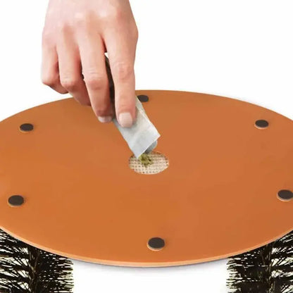 Arco de Masaje y Rascador Autolimpiable para Gatos: ¡Un Spa en Casa para tu Felino! 🐱🎉