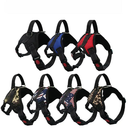 Arnés Ajustable para Paseo Seguro y Cómodo de Mascotas 🐾